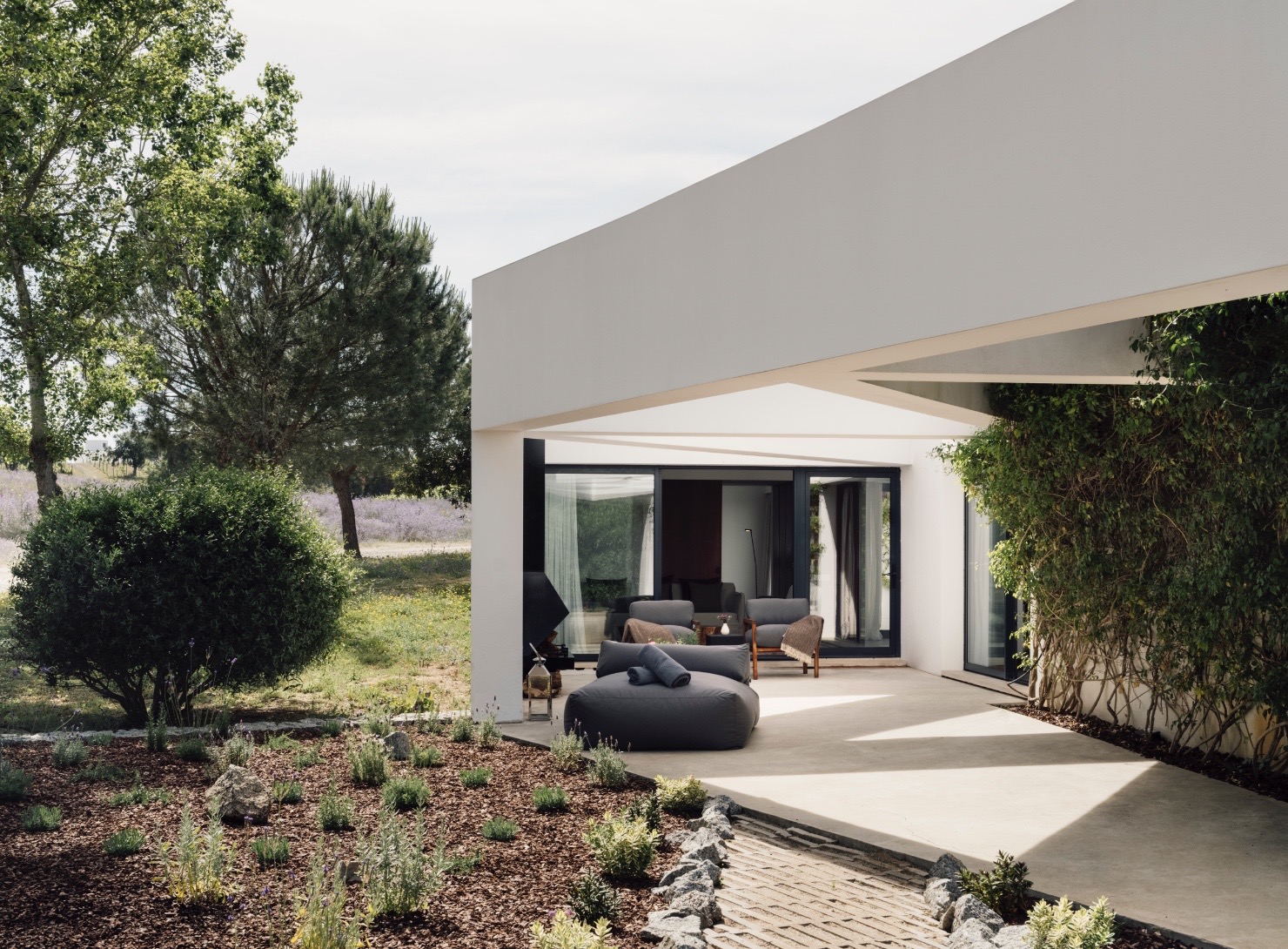 L'and Vineyards | Terrace