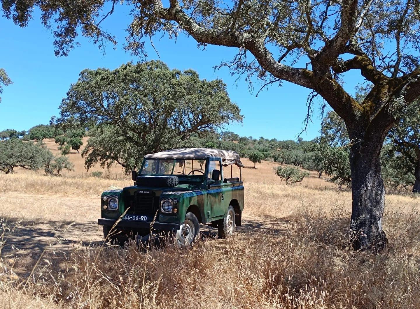 Portugal from north to south: a 12-day journey through the soul of the country