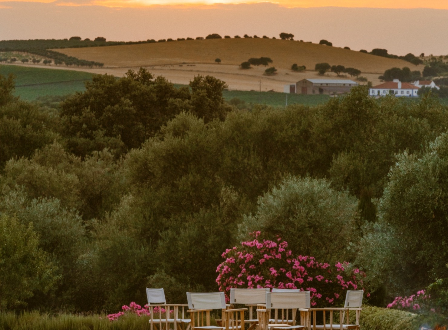 São Lourenço do Barrocal | Bar
