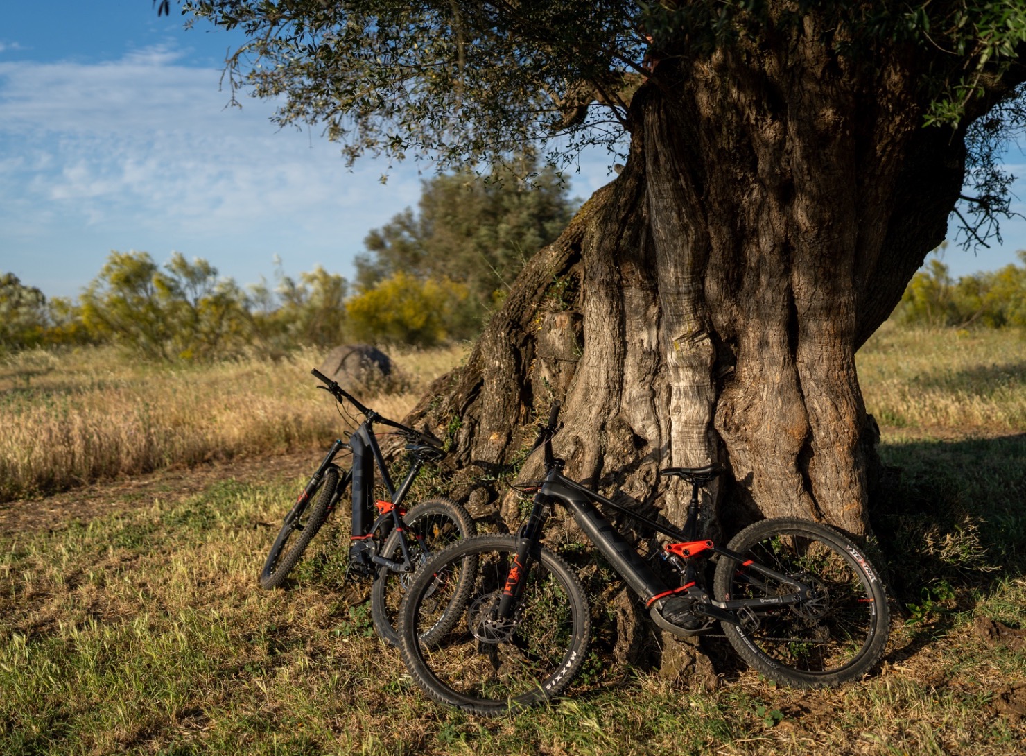 São Lourenço do Barrocal | BTT